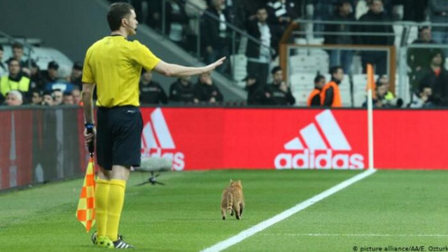 Rapor: Süper Lig futbolcularının değeri 150 milyon euro azalacak