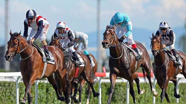 TJK'dan at yarışlarının başlangıcı için ilk açıklama