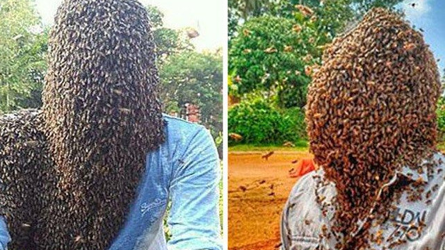 Guinness'e adını yazdırmak için 60 bin arıyı kafasında tuttu!