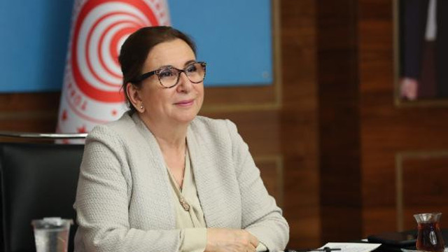 Bakan Pekcan: Ekonomi rayına oturmaya başladı