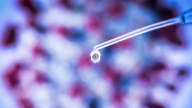 Koronavirüs aşısı için umutlandıran açıklama