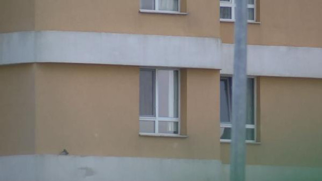 İstanbul'da sivrisinek kabusu geri döndü