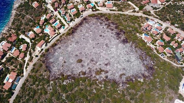 Kaş'ta yanan ormanlık alanın imara açıldığı iddialarına yalanlama