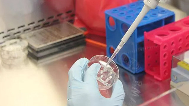 Bakanlık açıkladı! PCR testi ücreti belli oldu!