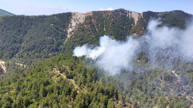 Hatay'da ormanlık alanda yangın