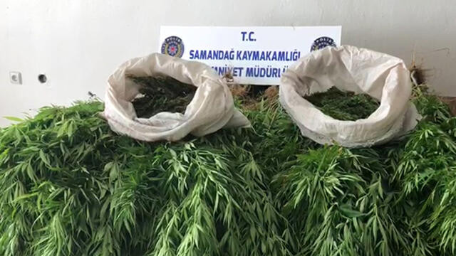 Hatay'da uyuşturucu operasyonu: 1 kişi gözaltına alındı