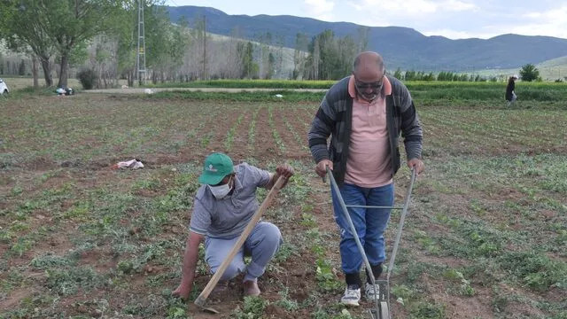 Kırım Kongo Kanamalı Ateşi vakaları her geçen gün artıyor!
