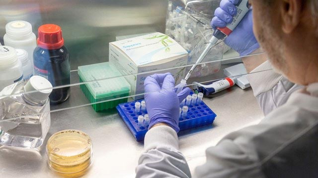 İki yeni koronavirüs aşı adayı insanlar üzerinde test edilmeye başlandı