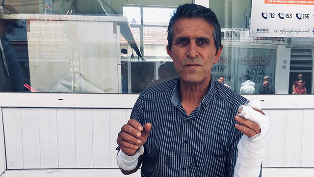 Yozgat'ta ayı saldırısı! 1 kişi yaralandı