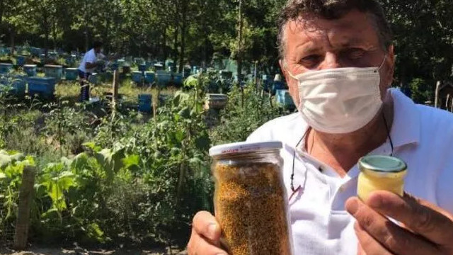 Kilosu 7-8 bin TL olan arı sütüne yoğun ilgi!