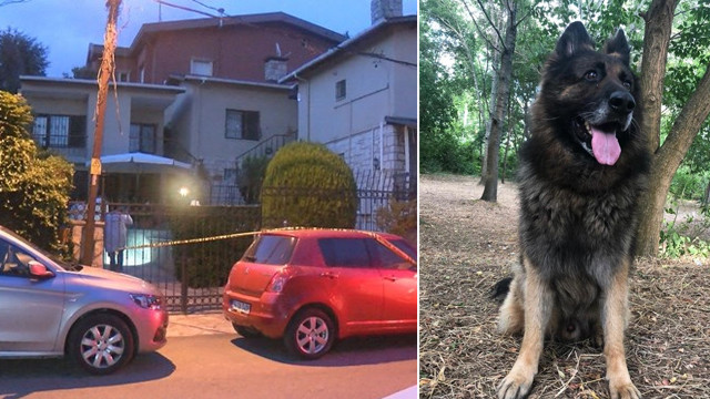 Eşini ısıran köpeği silahla öldürdü