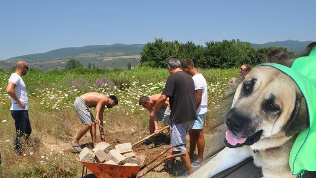 Bir vahşet daha! Emekli albay köpeği öldürüp kumsala gömdürdü