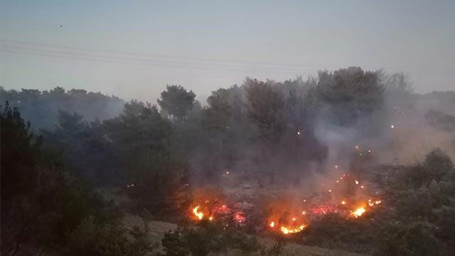 Manisa'nın Soma ilçesinde orman yangını