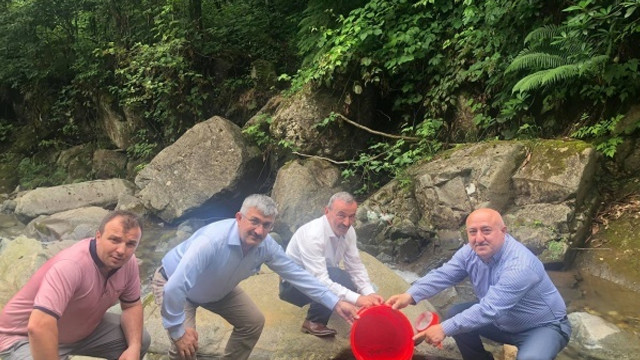 Rize'de 15 bin benekli alabalık dereye bırakıldı