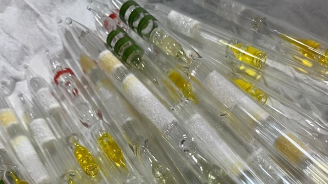 Otogar'da 115 tüp kobra yılanı zehri ele geçirildi