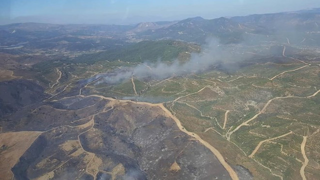 Seferihisar'da yangın