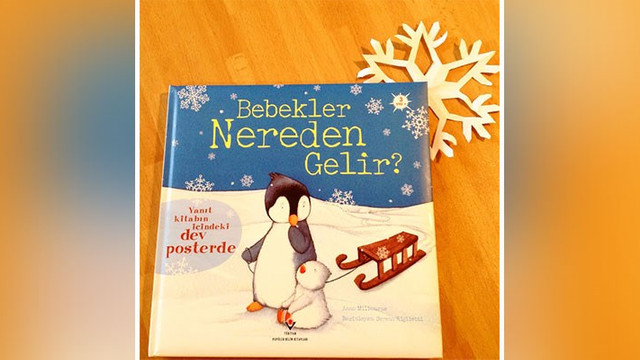 Bebekler Nereden Gelir Adli Cocuk Kitabi Zararli Ilan Edildi Guncel