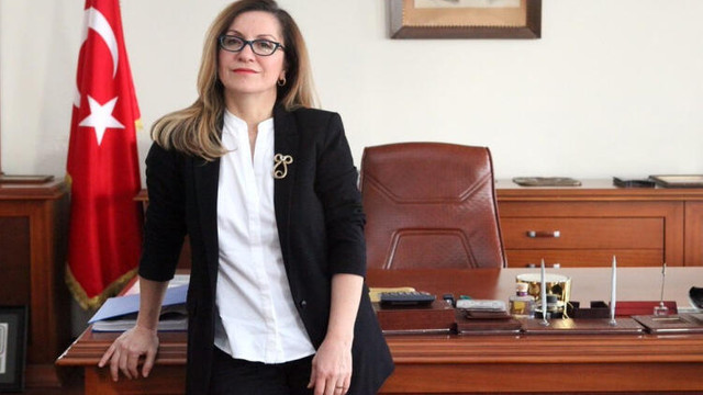Mimar Sinan Güzel Sanatlar Üniversitesi'nde mobbing iddiası
