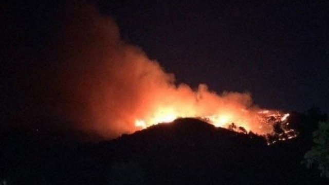 Ukrayna'da orman yangını: 4 ölü