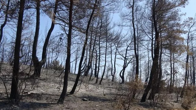 Yangından sonra Gelibolu'yu bekleyen ikinci tehlike!