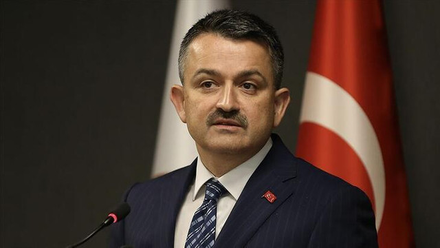 Bakan Pakdemirli açıkladı! Kesilen ceza 63 milyon lirayı aştı