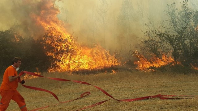Sakarya Taraklı'da orman yangını: Bazı mahalleler boşaltıldı