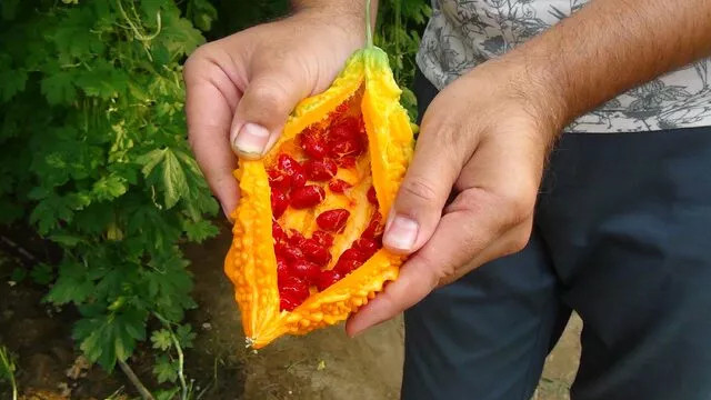 Kudret narı hayatını değiştirdi! Dünya ülkelerine pazarlıyor