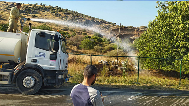 Efes Antik Kenti, yangının eşiğinden döndü!