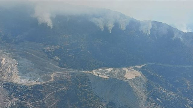 Aydın'daki orman yangınıyla ilgili bir işi tutuklandı