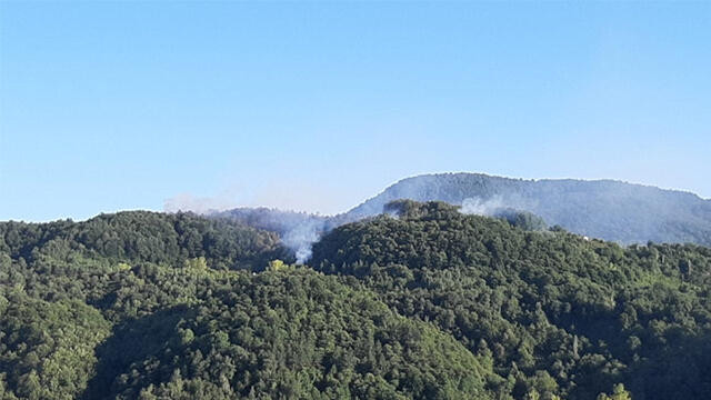 Kastamonu'da orman yangını!
