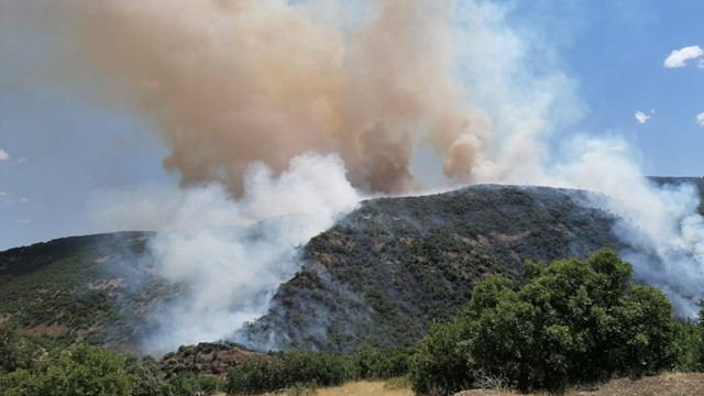 Elazığ'da korkutan orman yangını