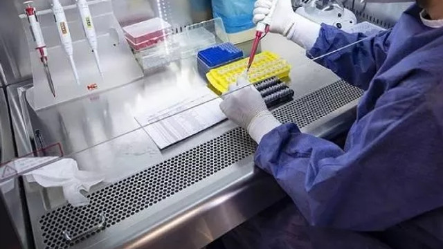 Koronavirüsten bile daha tehlikeli bir süper mikrop bulundu!