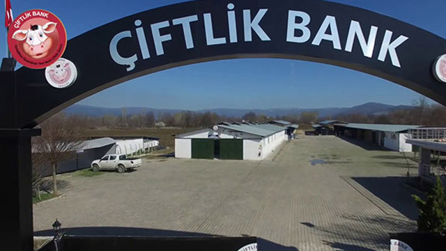 Dosyası ayrılan 28 Çiftlik Bank sanığı için karar verildi