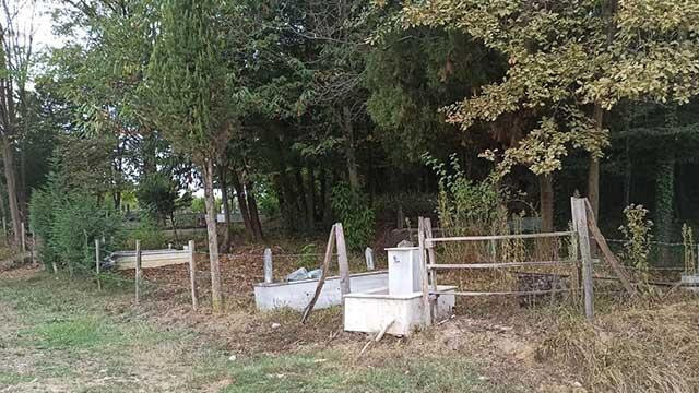 Eski mezarlara dadanan definecilere mahallelilerden sert tepki