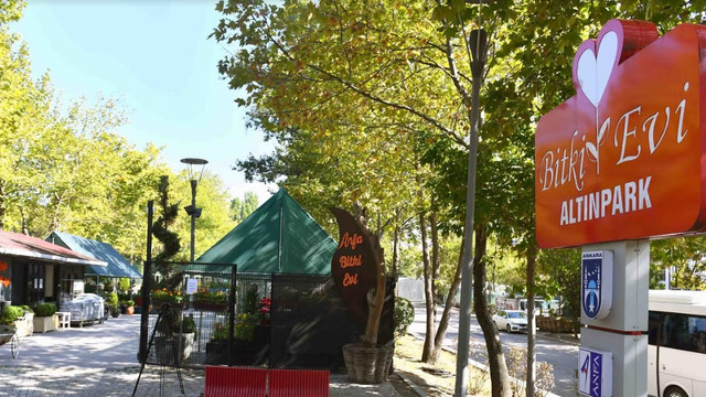 Sonbahar çiçekleri Başkentlileri bekliyor