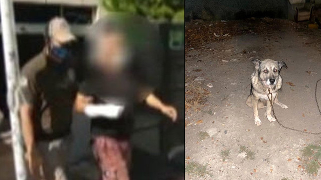 Komşusunun köpeklerini bıçaklayıp, serbest kaldı!