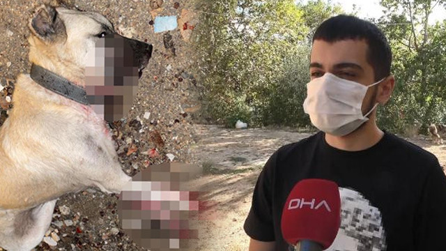 İstanbul'da korkunç olay! ''Boğazını gözümün önünde kesti''