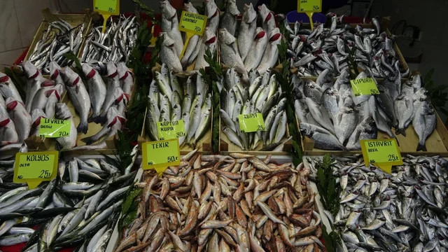 Balık fiyatları fırladı! Kilosu tam 170 lira