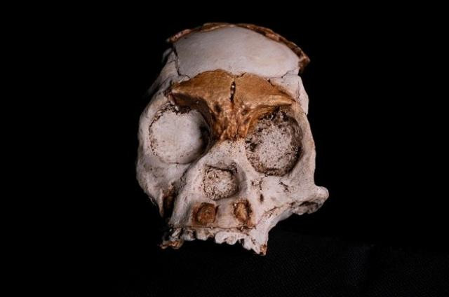 Tarihi yeniden yazdıracak keşif: 250 bin yıl önce ölen çocuğun kalıntıları bulundu - Resim : 1