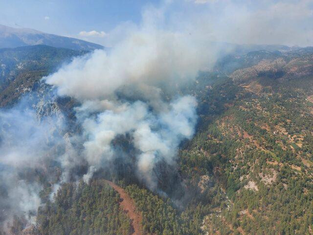 Kabus geri döndü: Muğla ve İzmir'de orman yangını - Resim : 1