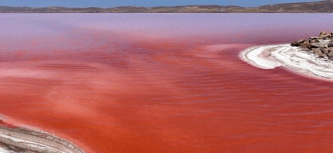 Dünyada bir göl daha kan kırmızısına döndü! - Resim: 2
