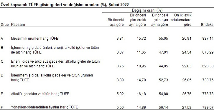 TÜİK Şubat 2022 enflasyon rakamlarını açıkladı - Resim : 8