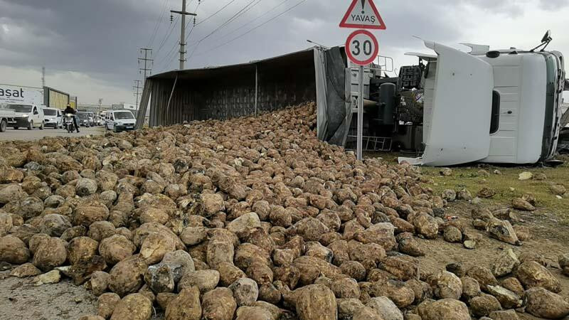 TIR devrildi, 30 ton pancar çevreye saçıldı - Resim: 1