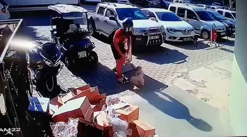 Antalya'nın Alanya ilçesinde motosikleti ve köpeğiyle iş yeri önüne gelen ve köpeğiyle kavga eden kediyi tekmeleyen genç şahıs tutuklandı. 