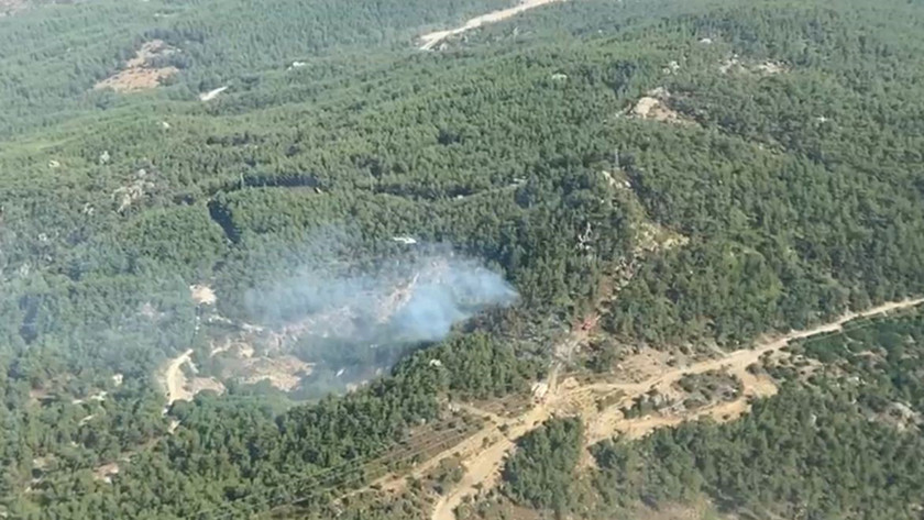 Yine ciğerlerimiz yanıyor! 10 ilde peş peşe orman yangını - Resim : 13
