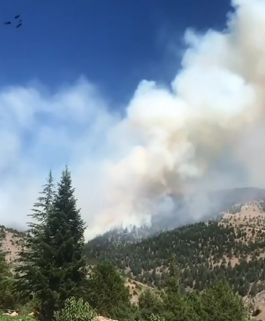 Aydın, Mersin, Bolu, Çanakkale, Manisa ve Kahramanmaraş'ta ormanlık alanda yangın çıktı. Alevleri söndürmek için çalışma başlatıldı.