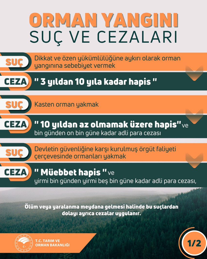 Bakan açıkladı: Son 10 günde 40 ilde orman yangını çıktı - Resim : 1