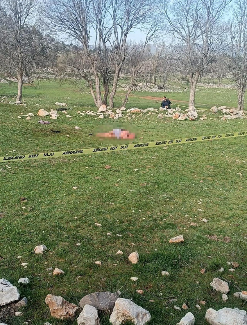 Antalya'nın Akseki ilçesinde çoban köpeklerinin saldırısına uğrayan 85 yaşındaki kadın, hayatını kaybetti. 