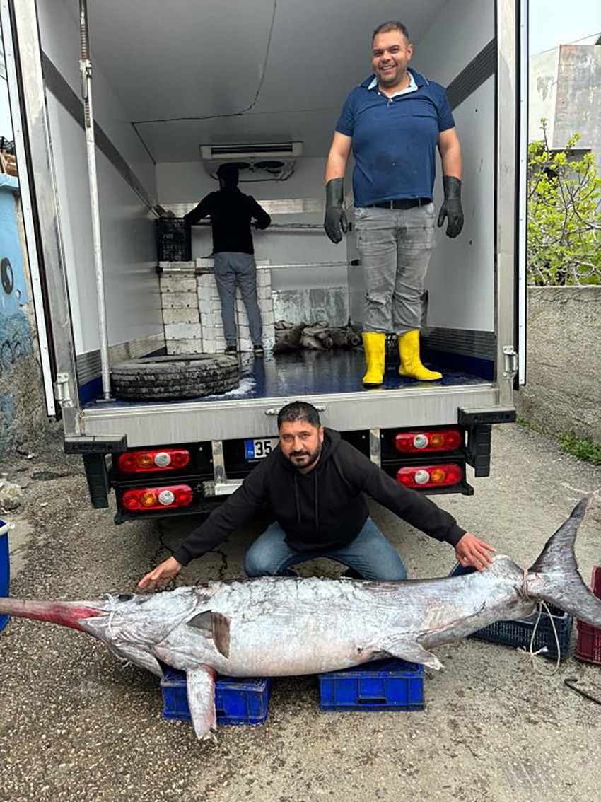 Adana'nın Karataş ilçesinde balıkçıların ağına takılan 3 metre boyundaki, 150 kilogram ağırlığındaki kılıç balığı, 30 bin TL'ye alıcı buldu.