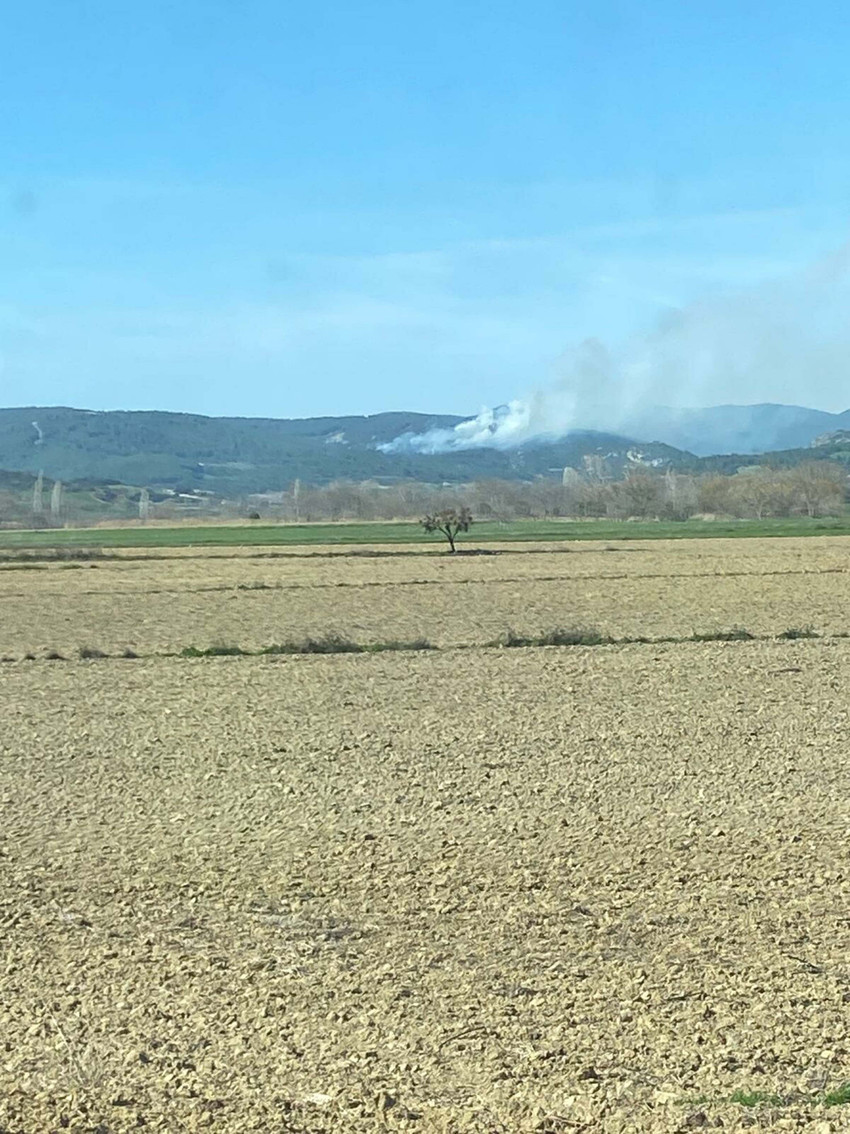 Çanakkale'nin Gelibolu ilçesinde ormanlık alanda çıkan yangın kontrol altına alındı. Yangında 3 hektar alan zarar gördü.